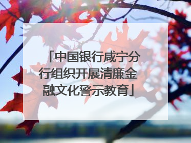 中国银行咸宁分行组织开展清廉金融文化警示教育