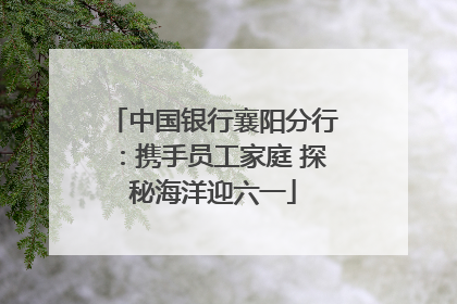 中国银行襄阳分行：携手员工家庭 探秘海洋迎六一