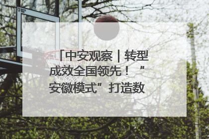 中安观察｜转型成效全国领先！“安徽模式”打造数字化转型新标杆