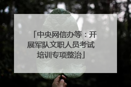 中央网信办等：开展军队文职人员考试培训专项整治