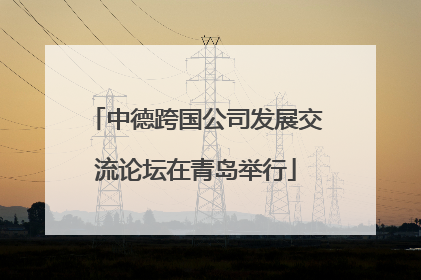 中德跨国公司发展交流论坛在青岛举行
