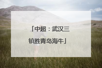 中超：武汉三镇胜青岛海牛