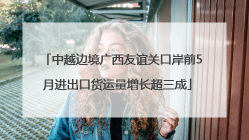 中越边境广西友谊关口岸前5月进出口货运量增长超三成