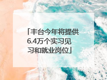 丰台今年将提供6.4万个实习见习和就业岗位