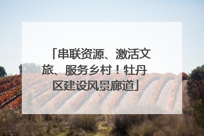 串联资源、激活文旅、服务乡村！牡丹区建设风景廊道
