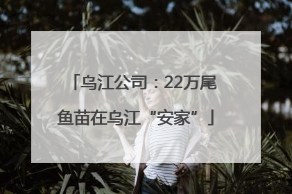 乌江公司：22万尾鱼苗在乌江“安家”