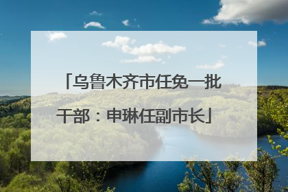 乌鲁木齐市任免一批干部：申琳任副市长