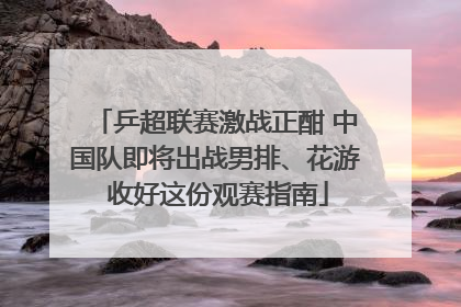 乒超联赛激战正酣 中国队即将出战男排、花游 收好这份观赛指南