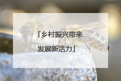 乡村振兴带来发展新活力