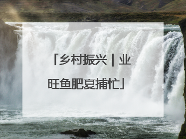 乡村振兴｜业旺鱼肥夏捕忙