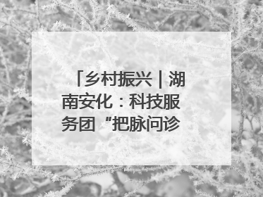 乡村振兴｜湖南安化：科技服务团“把脉问诊”水果产业