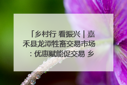 乡村行 看振兴｜嘉禾县龙潭牲畜交易市场：优惠赋能促交易 乡村振兴添动能