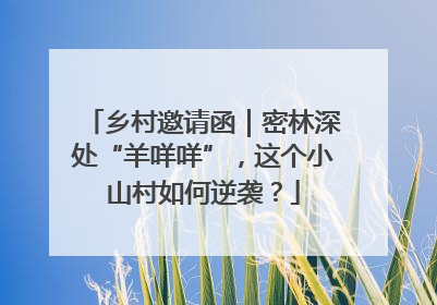 乡村邀请函｜密林深处“羊咩咩”，这个小山村如何逆袭？