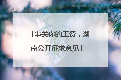事关你的工资，湖南公开征求意见