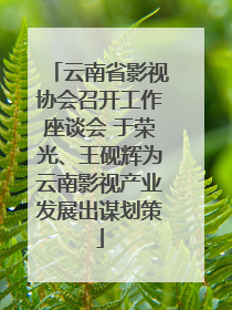 云南省影视协会召开工作座谈会 于荣光、王砚辉为云南影视产业发展出谋划策