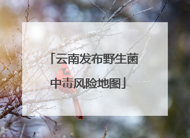 云南发布野生菌中毒风险地图