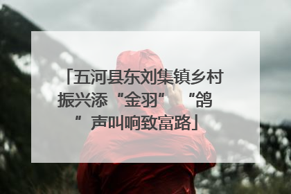 五河县东刘集镇乡村振兴添“金羽” “鸽”声叫响致富路