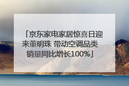 京东家电家居惊喜日迎来董明珠 带动空调品类销量同比增长100%