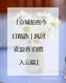 京城拍客今日精选｜风过麦浪香 白塔入云端