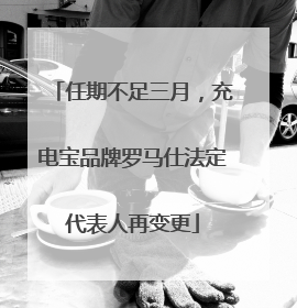 任期不足三月，充电宝品牌罗马仕法定代表人再变更