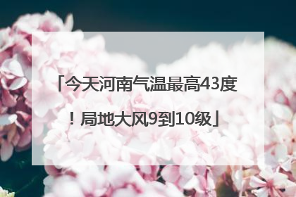 今天河南气温最高43度！局地大风9到10级