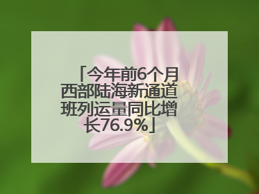 今年前6个月西部陆海新通道班列运量同比增长76.9%