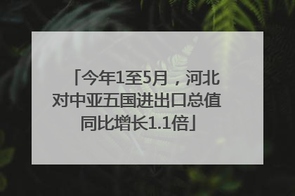 今年1至5月，河北对中亚五国进出口总值同比增长1.1倍