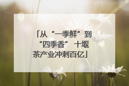 从“一季鲜”到“四季香” 十堰茶产业冲刺百亿