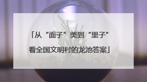 从“面子”美到“里子” 看全国文明村的龙池答案