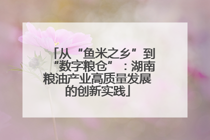 从“鱼米之乡”到“数字粮仓”：湖南粮油产业高质量发展的创新实践