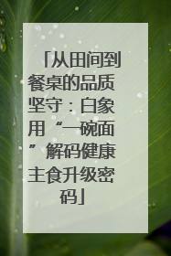从田间到餐桌的品质坚守：白象用“一碗面”解码健康主食升级密码