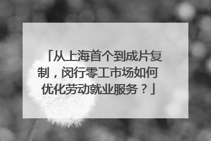 从上海首个到成片复制，闵行零工市场如何优化劳动就业服务？