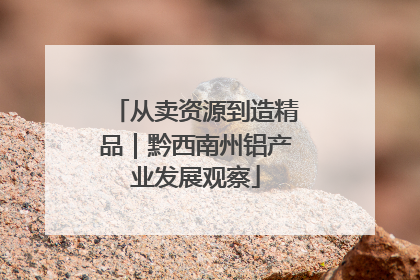 从卖资源到造精品｜黔西南州铝产业发展观察