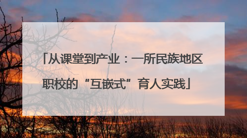 从课堂到产业：一所民族地区职校的“互嵌式”育人实践