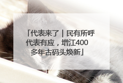代表来了｜民有所呼代表有应，增江400多年古码头焕新