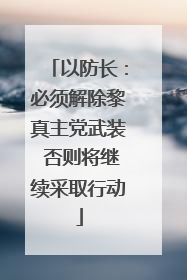 以防长：必须解除黎真主党武装 否则将继续采取行动