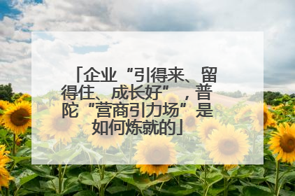 企业“引得来、留得住、成长好”，普陀“营商引力场”是如何炼就的