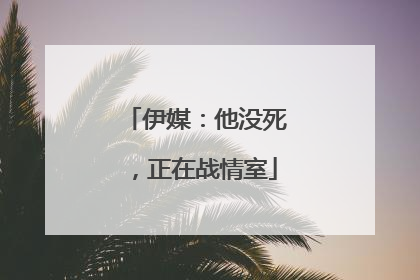 伊媒：他没死，正在战情室