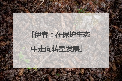 伊春：在保护生态中走向转型发展