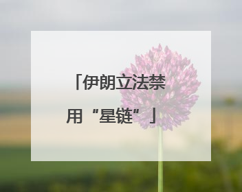 伊朗立法禁用“星链”