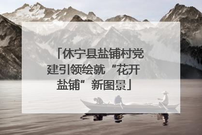 休宁县盐铺村党建引领绘就“花开盐铺”新图景