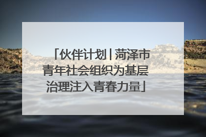 伙伴计划│菏泽市青年社会组织为基层治理注入青春力量
