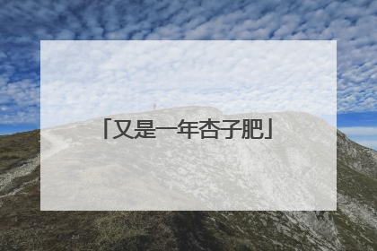 又是一年杏子肥