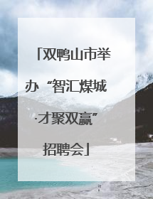 双鸭山市举办“智汇煤城·才聚双赢”招聘会
