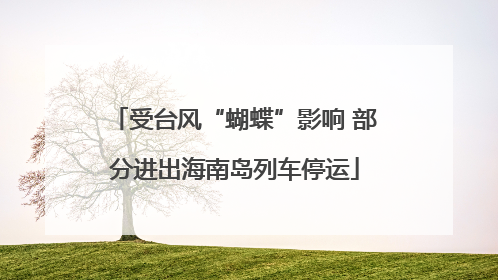 受台风“蝴蝶”影响 部分进出海南岛列车停运