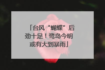 台风“蝴蝶”后劲十足！鹭岛今明或有大到暴雨