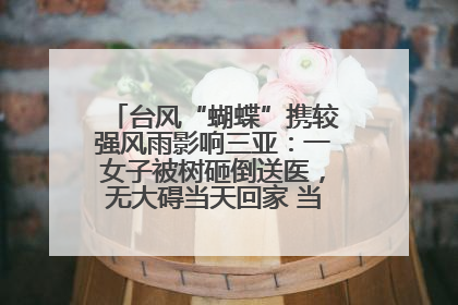 台风“蝴蝶”携较强风雨影响三亚：一女子被树砸倒送医，无大碍当天回家 当地已紧急清障