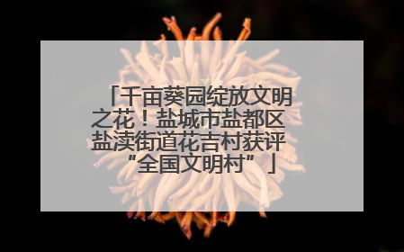 千亩葵园绽放文明之花！盐城市盐都区盐渎街道花吉村获评“全国文明村”