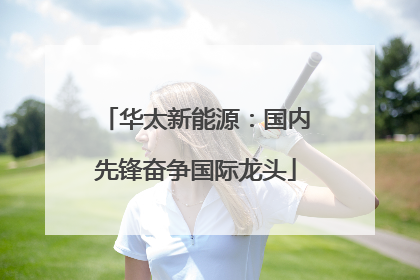 华太新能源：国内先锋奋争国际龙头