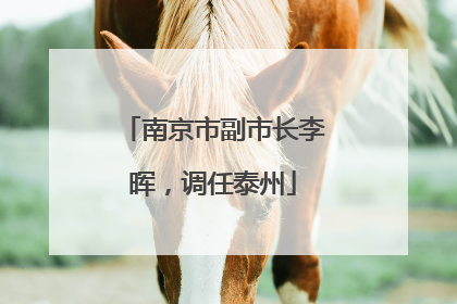 南京市副市长李晖，调任泰州